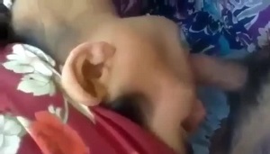 Доярка с аула пососала хуй